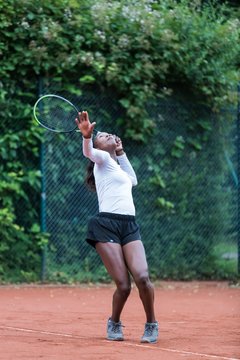 Noma Noha Akugue 233 - Klippeldon